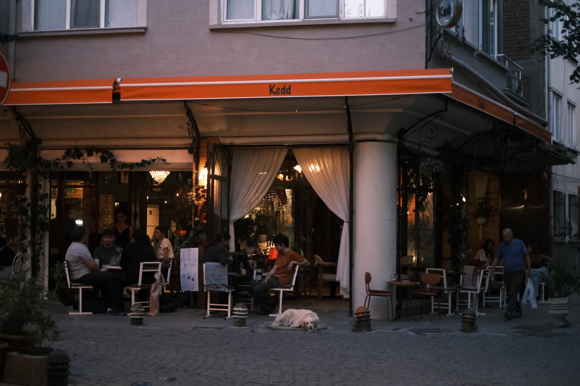 Kedd Coffee akşam